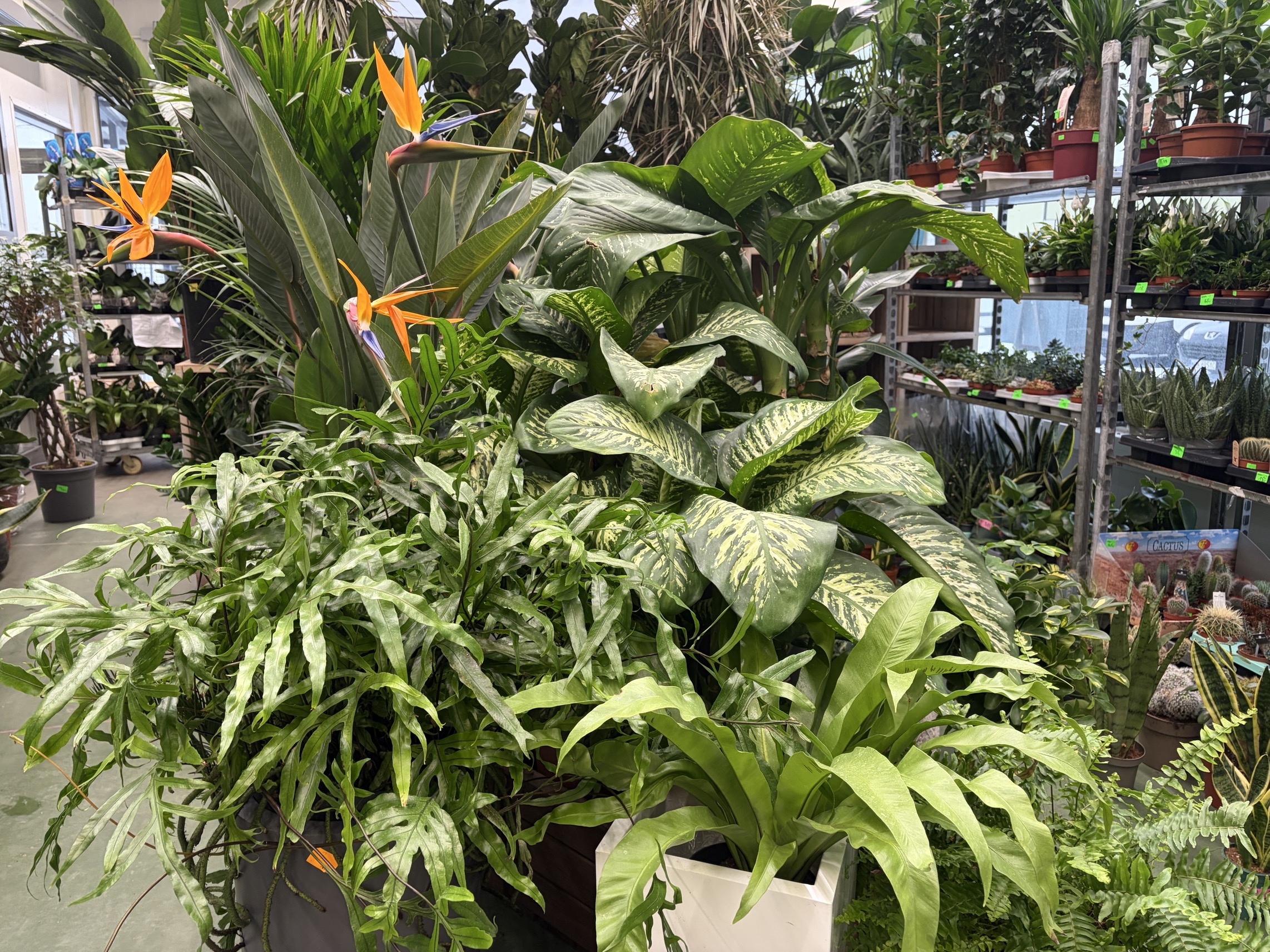 Dekoracje domki i figurki