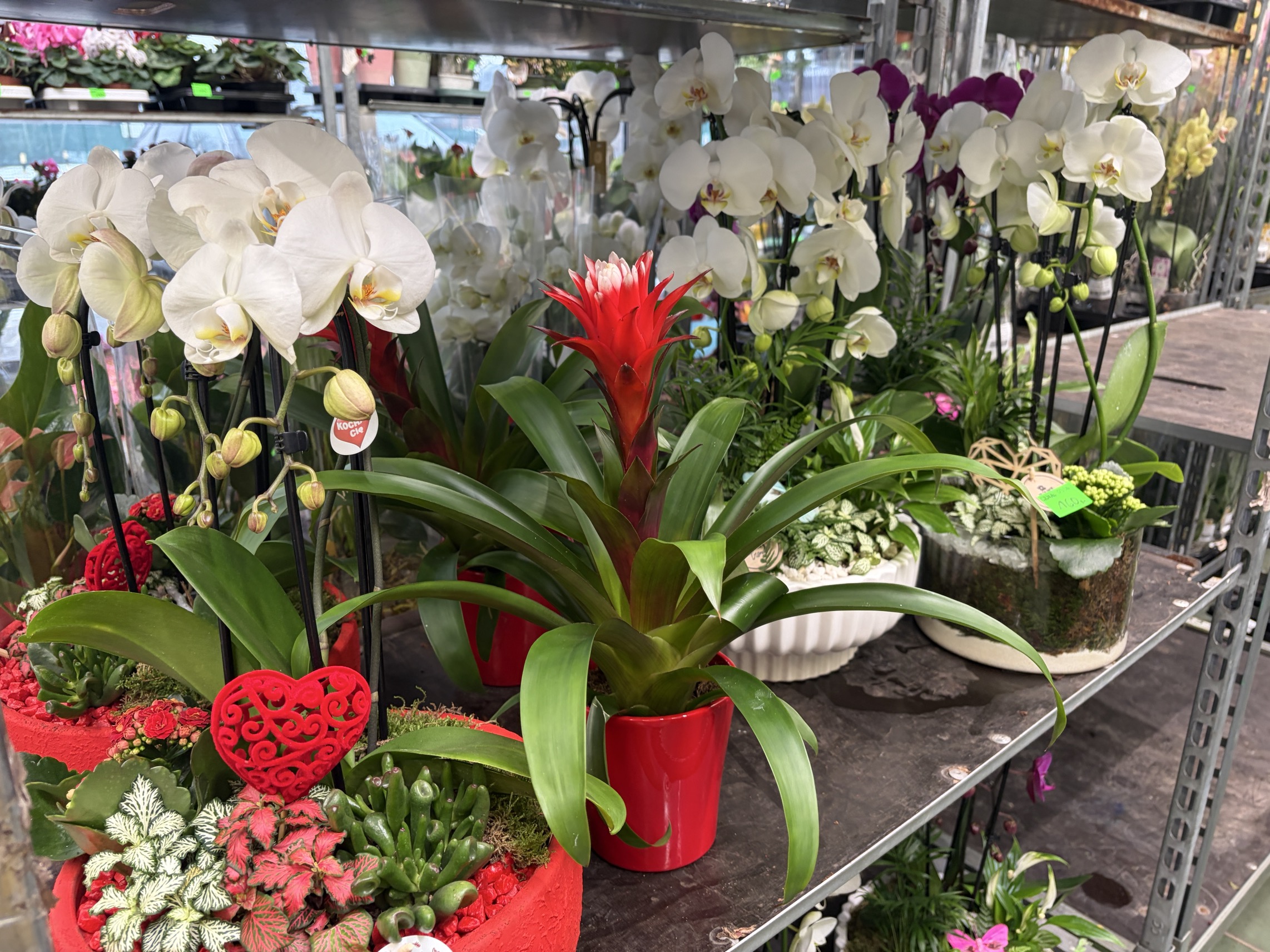 Dekoracje domki i figurki